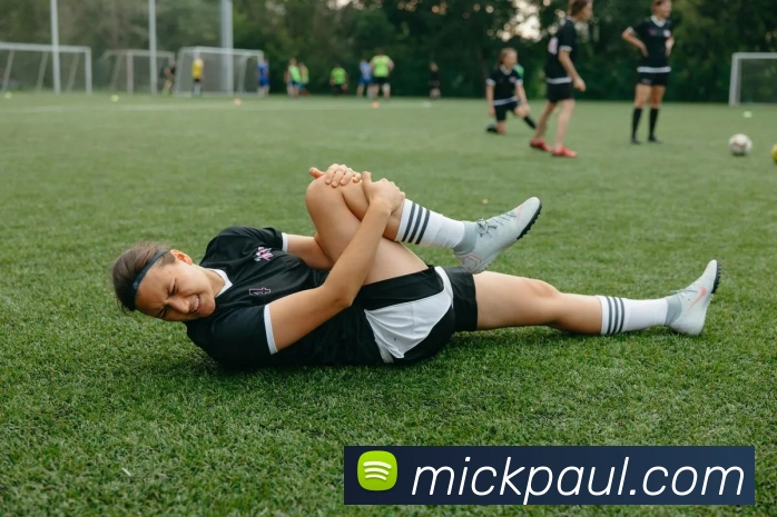 乐鱼平台平台生态图